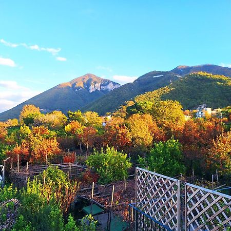 Casa Fifina Rooms Sant'Egidio del Monte Albino 外观 照片