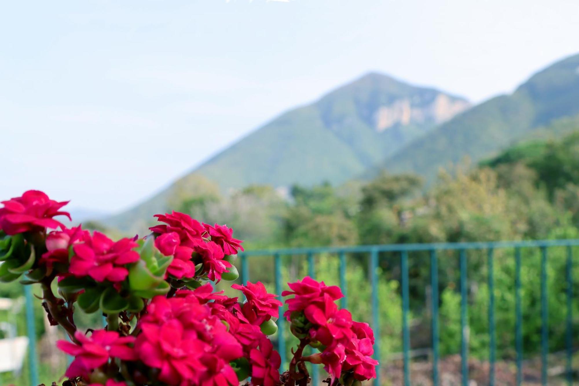 Casa Fifina Rooms Sant'Egidio del Monte Albino 外观 照片