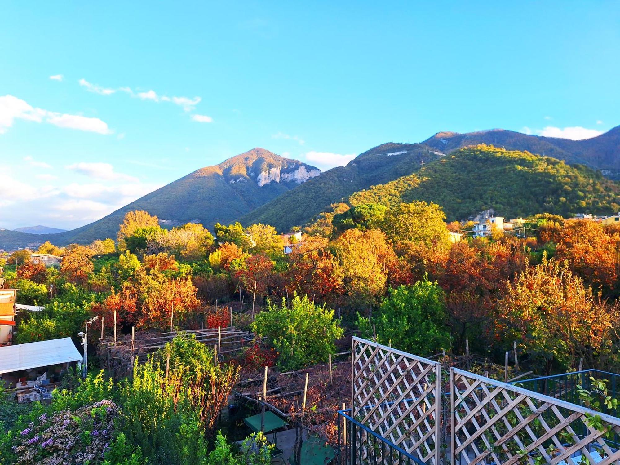 Casa Fifina Rooms Sant'Egidio del Monte Albino 外观 照片